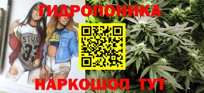 трава Анжеро-Судженск