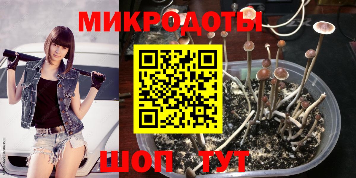 Галлюциногенные грибы Cubensis Аргун