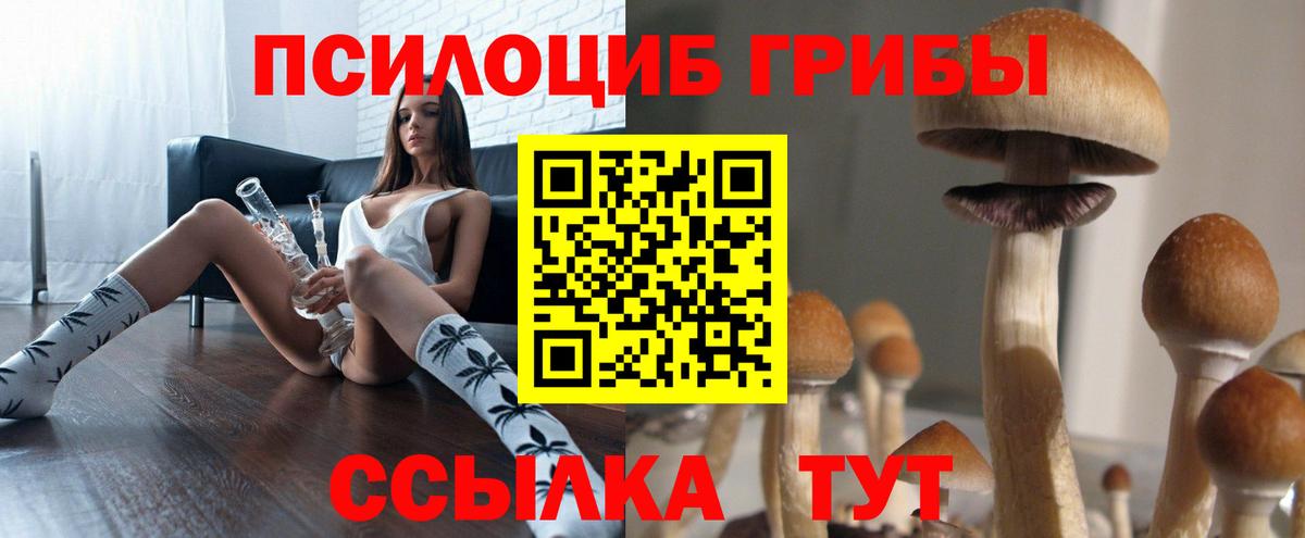 Аргун  Псилоцибиновые грибы Cubensis  Вход с VPN 